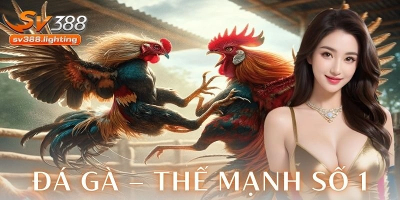 Đá gà trực tuyến – Thế mạnh số 1