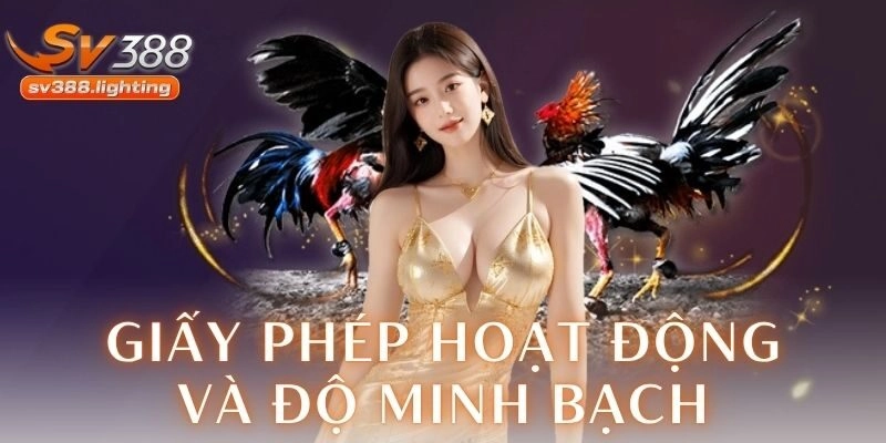 Giấy phép hoạt động và độ minh bạch